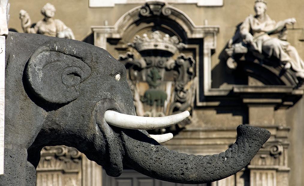 elefante simbolo di Catania